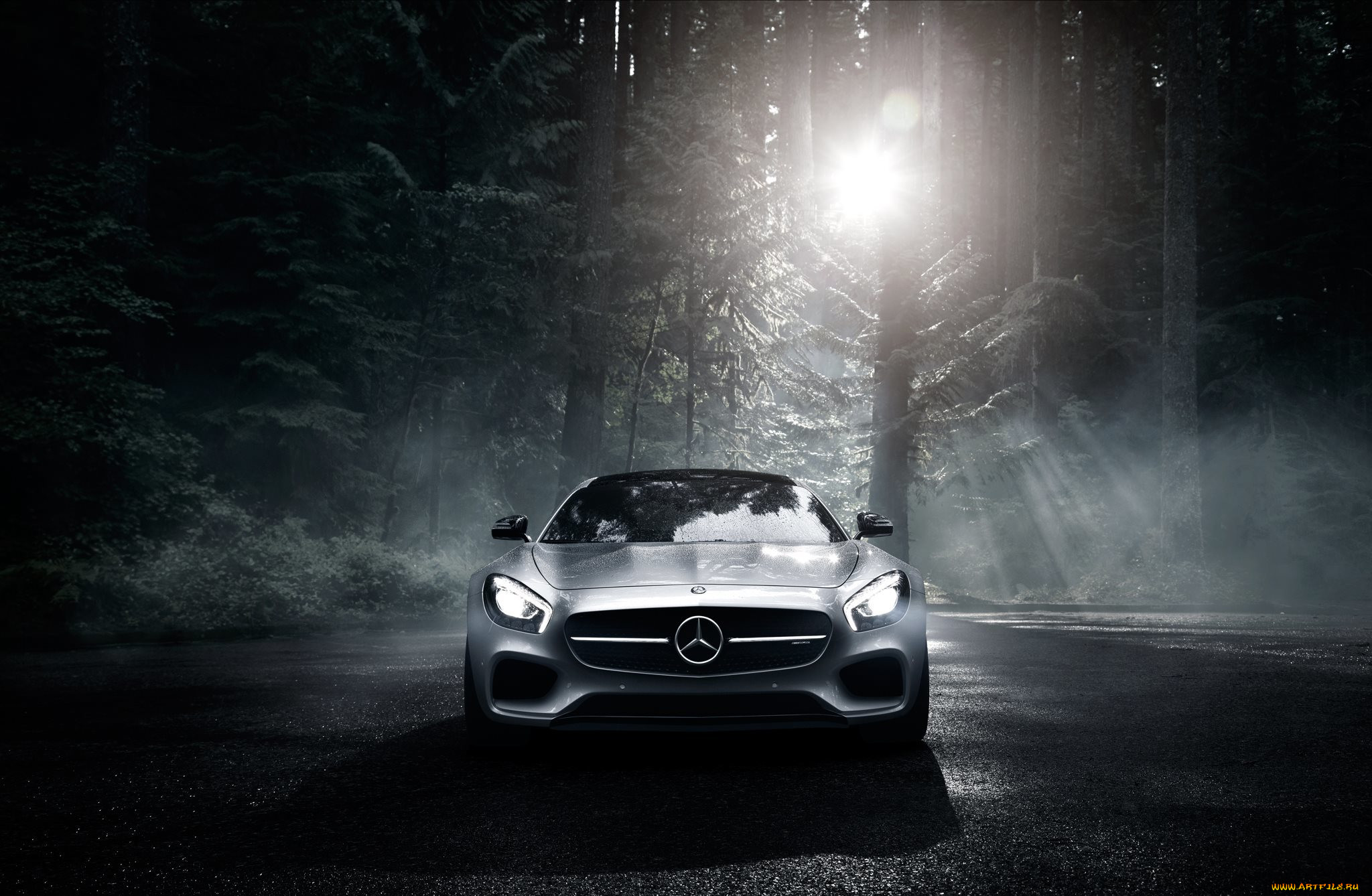 , mercedes-benz, gt, s, color, amg, silver, 2016, sun, dark, forest, front